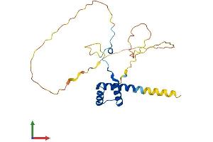 AlphaFold protein structure predicition of Human Recombinant HOXB6 Protein, UniprotID P17509