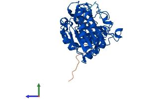 AlphaFold protein structure predicition of Human Recombinant ADH7 Protein, UniprotID P40394