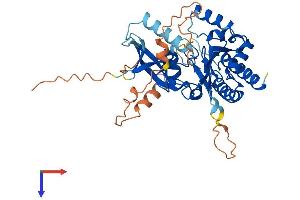 AlphaFold protein structure predicition of Mouse Recombinant Ip6k3 Protein, UniprotID Q8BWD2