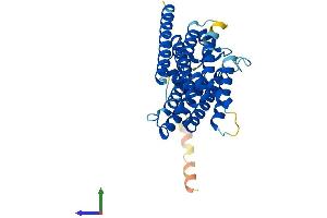 AlphaFold protein structure predicition of Human Recombinant PAQR7 Protein, UniprotID Q86WK9