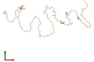 AlphaFold protein structure predicition of Human Recombinant KRTAP4-12 Protein, UniprotID Q9BQ66
