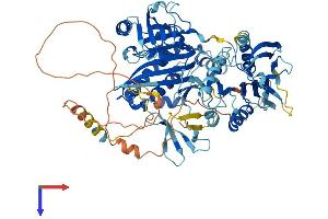 AlphaFold protein structure predicition of Human Recombinant HLCS Protein, UniprotID P50747