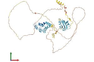 AlphaFold protein structure predicition of Mouse Recombinant Sp100 Protein, UniprotID O35892