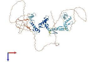 AlphaFold protein structure predicition of Human Recombinant CTCFL Protein, UniprotID Q8NI51