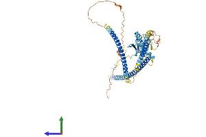 AlphaFold protein structure predicition of Human Recombinant RASSF9 Protein, UniprotID O75901