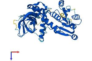 AlphaFold protein structure predicition of Mouse Recombinant Cryzl1 Protein, UniprotID Q921W4