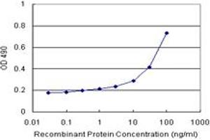 NKX2-5 (Human) Matched Antibody Pair