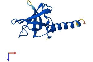 AlphaFold protein structure predicition of Human Recombinant TEN1 Protein, UniprotID Q86WV5