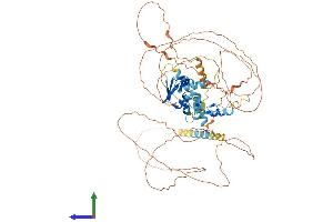 AlphaFold protein structure predicition of Human Recombinant ZBTB5 Protein, UniprotID O15062