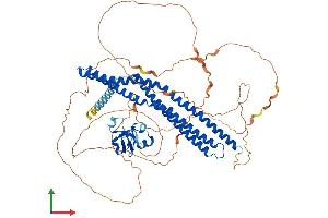 AlphaFold protein structure predicition of Mouse Recombinant Amph Protein, UniprotID Q7TQF7
