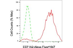 Flow cytometric analysis of EEF1A2 expression in HaCaT cells using EEF1A2 antibody (ABIN7798499), 1:2,000).