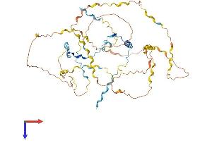 AlphaFold protein structure predicition of Human Recombinant WIPF1 Protein, UniprotID O43516