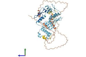 AlphaFold protein structure predicition of Human Recombinant ZNF582 Protein, UniprotID Q96NG8