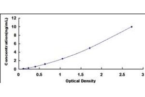 Typical standard curve (NFIB Kit ELISA)