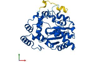 AlphaFold protein structure predicition of Mouse Recombinant Sult1c1 Protein, UniprotID Q80VR3