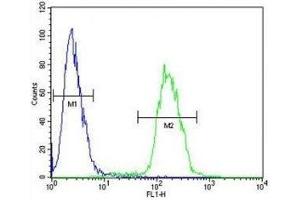 Anti-Myc antibody flow cytometric analysis of 293 cells (right histogram) compared to a negative control cell (left histogram).