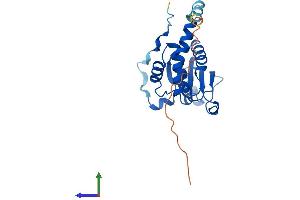 AlphaFold protein structure predicition of Human Recombinant STYX Protein, UniprotID Q8WUJ0