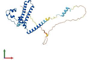 AlphaFold protein structure predicition of Human Recombinant MED8 Protein, UniprotID Q96G25
