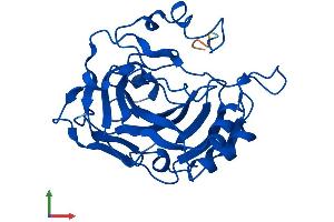 AlphaFold protein structure predicition of Mouse Recombinant Ca7 Protein, UniprotID Q9ERQ8