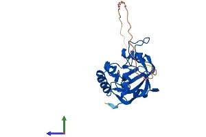 AlphaFold protein structure predicition of Mouse Recombinant Thyn1 Protein, UniprotID Q91YJ3