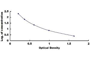 Typical standard curve