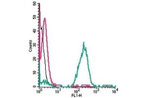 Cell surface detection of EMR1 (F4/80) by indirect flow cytometry in live intact human THP-1 monocytic leukemia cells: (black line) Cells.
