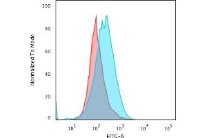 Flow Cytometric Analysis of paraformaldehyde-fixed Raji cells using CD45 Mouse Recombinant Monoclonal Antibody (rPTPRC/1460) followed by Goat anti- Mouse- IgG-CF488 (Blue); Isotype Control (Red).