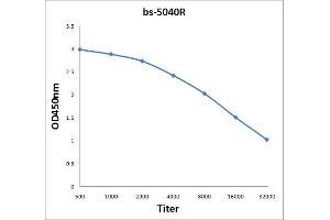 Antigen: 2 µg/100 µL  Primary: Antiserum, 1:500, 1:1000, 1:2000, 1:4000, 1:8000, 1:16000, 1:32000;  Secondary: HRP conjugated Rabbit Anti-Goat IgG at 1: 5000;  TMB staining Read the data in Microplate Reader by 450nm.