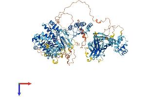 AlphaFold protein structure predicition of Mouse Recombinant Nlrp1b Protein, UniprotID Q2LKW6