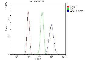 Flow Cytometry analysis of U20S cells using anti-NAT8L antibody (ABIN7602765). (NAT8L anticorps  (C-Term))