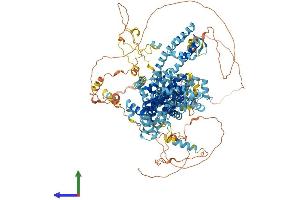 AlphaFold protein structure predicition of Mouse Recombinant Trpc2 Protein, UniprotID Q9R244