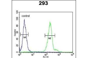 CRELD2 Antibody (C-term) (ABIN653131 and ABIN2842709) flow cytometric analysis of 293 cells (right histogram) compared to a negative control cell (left histogram). (CRELD2 anticorps  (C-Term))