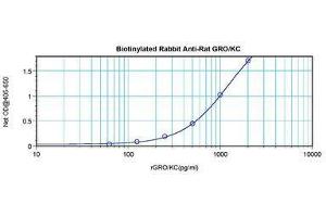 Image no. 1 for anti-Chemokine (C-X-C Motif) Ligand 1 (Melanoma Growth Stimulating Activity, Alpha) (CXCL1) antibody (Biotin) (ABIN465792)