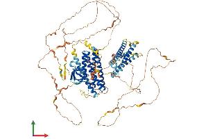 AlphaFold protein structure predicition of Human Recombinant BCAR1 Protein, UniprotID P56945