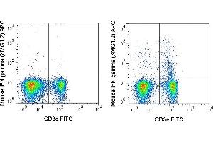 C57Bl/6 splenocytes were stimulated with PMA and Ionomycin (right panel) or unstimulated (left panel) and then stained with FITC Anti-Mouse CD3e (ABIN6961277), followed by intracellular staining with 0.