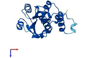 AlphaFold protein structure predicition of Mouse Recombinant Tprkb Protein, UniprotID Q8QZZ7