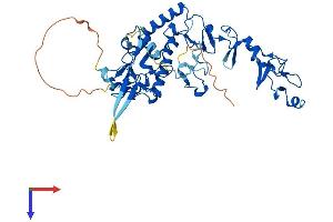 AlphaFold protein structure predicition of Human Recombinant TES Protein, UniprotID Q9UGI8
