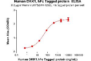 ELISA plate pre-coated by 5 μg/mL (100 μL/well) Human (644-1263)Protein, His Tag can bind Human Protein, hFc Tag(ABIN7092683, ABIN7272242 and ABIN7272243) in a linear range of 16-400 ng/mL.