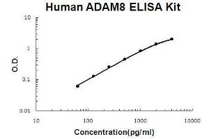 Human ADAM8 PicoKine ELISA Kit standard curve (ADAM8 Kit ELISA)
