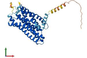 AlphaFold protein structure predicition of Mouse Recombinant Ffar2 Protein, UniprotID Q8VCK6