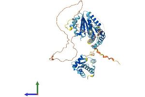 AlphaFold protein structure predicition of Human Recombinant CDC6 Protein, UniprotID Q99741