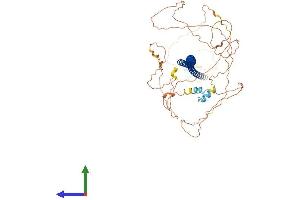 AlphaFold protein structure predicition of Mouse Recombinant Begain Protein, UniprotID Q68EF6