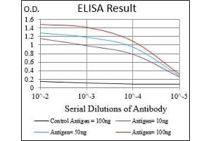 Black line: Control Antigen (100 ng), Purple line: Antigen(10 ng), Blue line: Antigen (50 ng), Red line: Antigen (100 ng), (MAPK7 anticorps  (AA 411-556))
