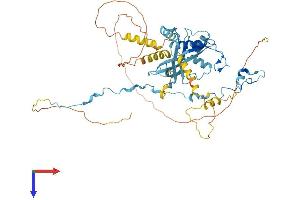 AlphaFold protein structure predicition of Human Recombinant PAF1 Protein, UniprotID Q8N7H5