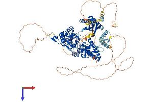 AlphaFold protein structure predicition of Mouse Recombinant Polk Protein, UniprotID Q9QUG2