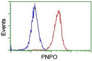 Flow Cytometry (FACS) image for anti-Pyridoxamine 5'-Phosphate Oxidase (PNPO) antibody (ABIN1500318)