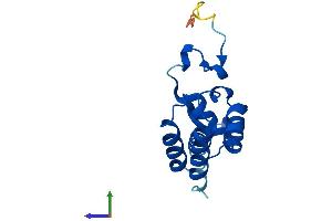 AlphaFold protein structure predicition of Human Recombinant POLR2D Protein, UniprotID O15514