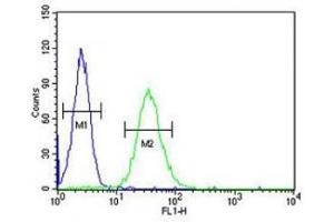 CD80 antibody flow cytometric analysis of HL-60 cells (right histogram) compared to a negative control (left histogram).