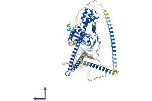 AlphaFold protein structure predicition of Mouse Recombinant Enox2 Protein, UniprotID Q8R0Z2