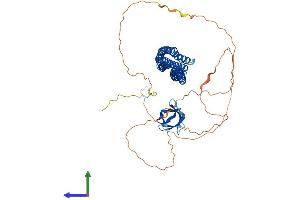 AlphaFold protein structure predicition of Mouse Recombinant Baiap2l2 Protein, UniprotID Q80Y61